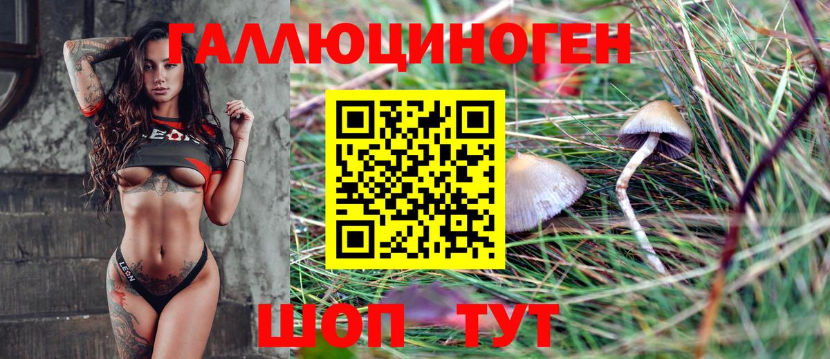 Псилоцибиновые грибы Psilocybe  Вход с VPN  Сарапул 