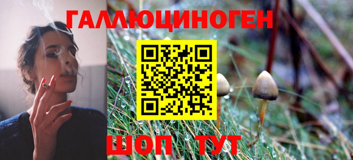 Галлюциногенные грибы мицелий Сарапул